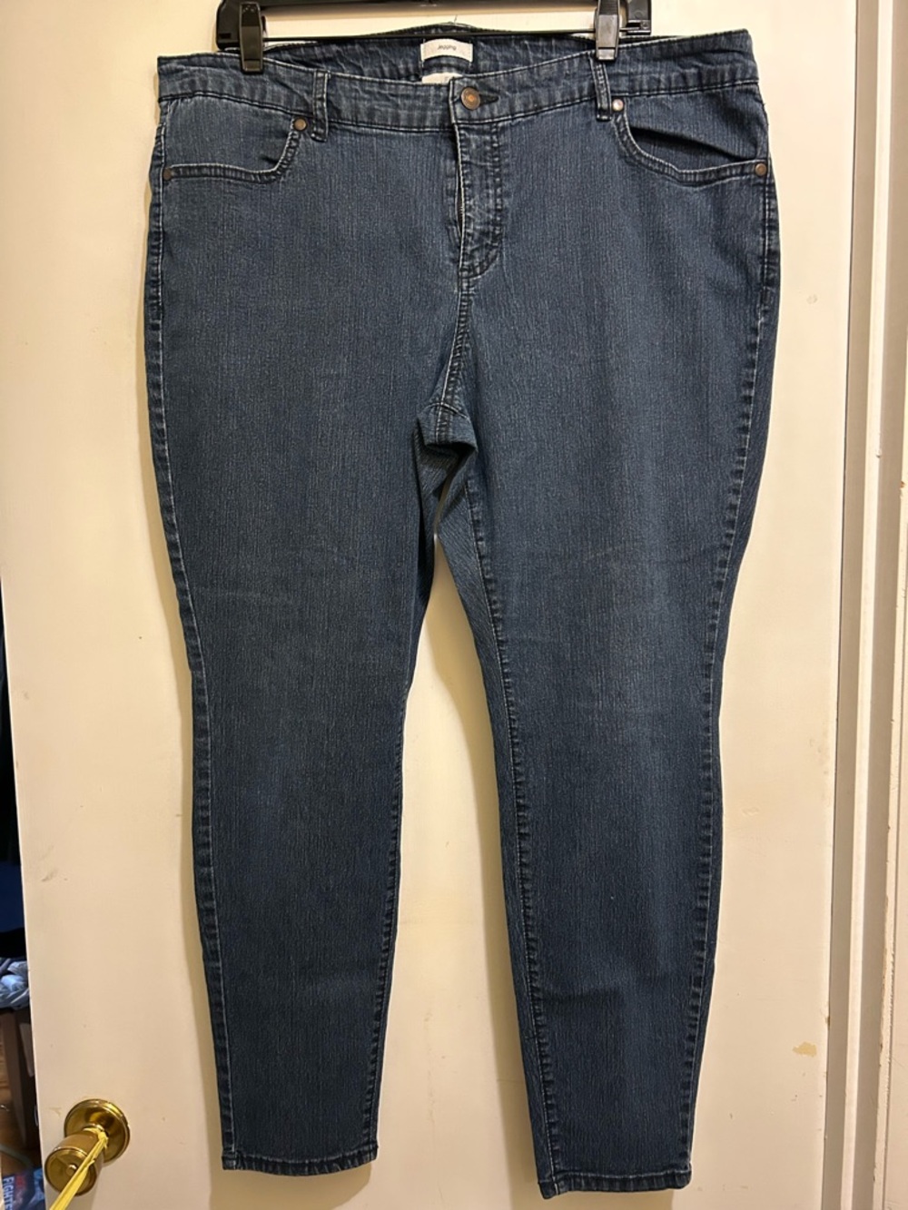 Jaclyn Smith Women's Blue Stretch Denim Jeggings/Jeans, Size 20W